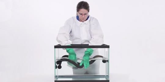 worker cleaning 3M Versaflo PAPR component
