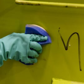 Removing marker from wall with 4004 Pad