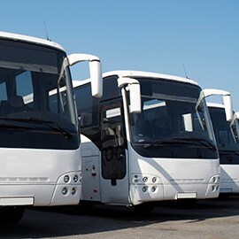 Buses