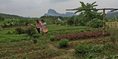 A 3M Impact team visits an organic farm in Vietnam
