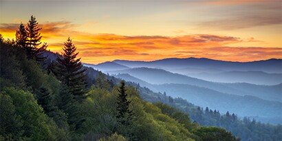 Tennessee
