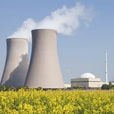 1975 3M launched Pollution Prevention Pays, empowering employees to guide the company’s sustainability efforts