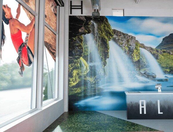 Đồ họa áp dụng cho cửa sổ và tường